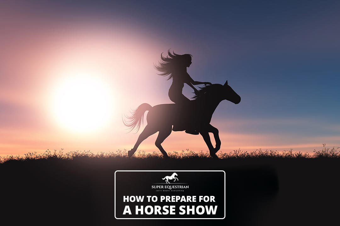 How do horses adapt to their Environment Facts we should know